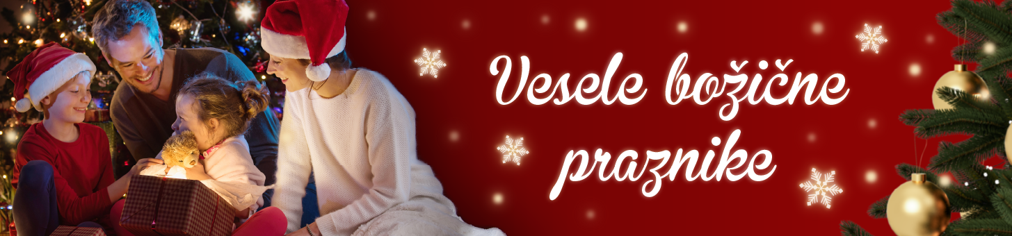 VP_25XMS_1455x340_01_SI